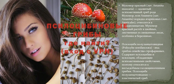 каннабис Балахна