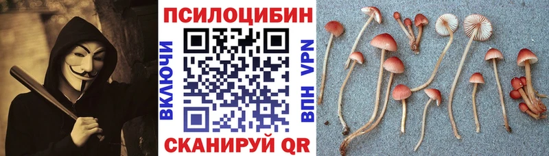 блэк спрут рабочий сайт  Кувандык  Галлюциногенные грибы Magic Shrooms  как найти закладки 